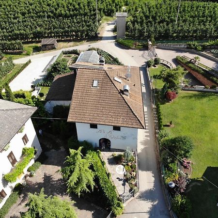 Al Trifoglio Bed & Breakfast Campodenno Exterior foto